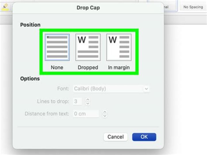 What is drop cap option in MS Word?