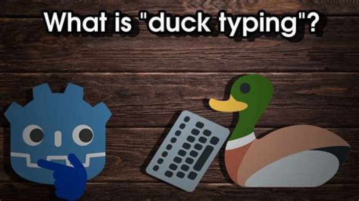 What is duck typing in OOP?