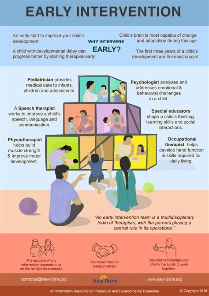 What is early intervention program in Georgia?