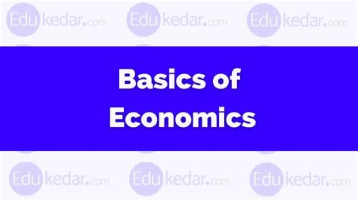What is economics Wikipedia?