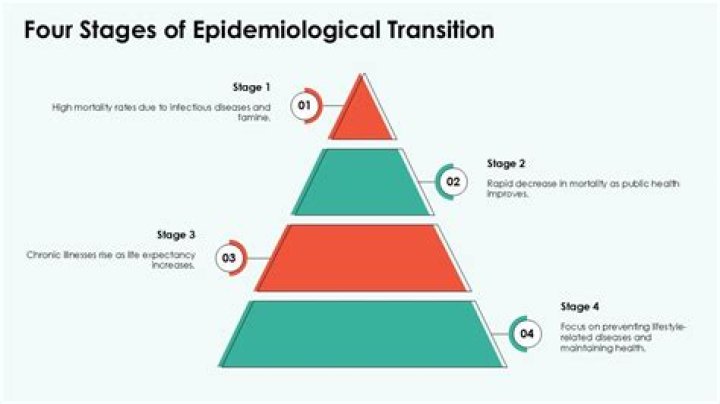 What is epidemiological process? | ContextResponse.com