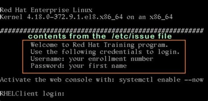 What is ETC issue net?