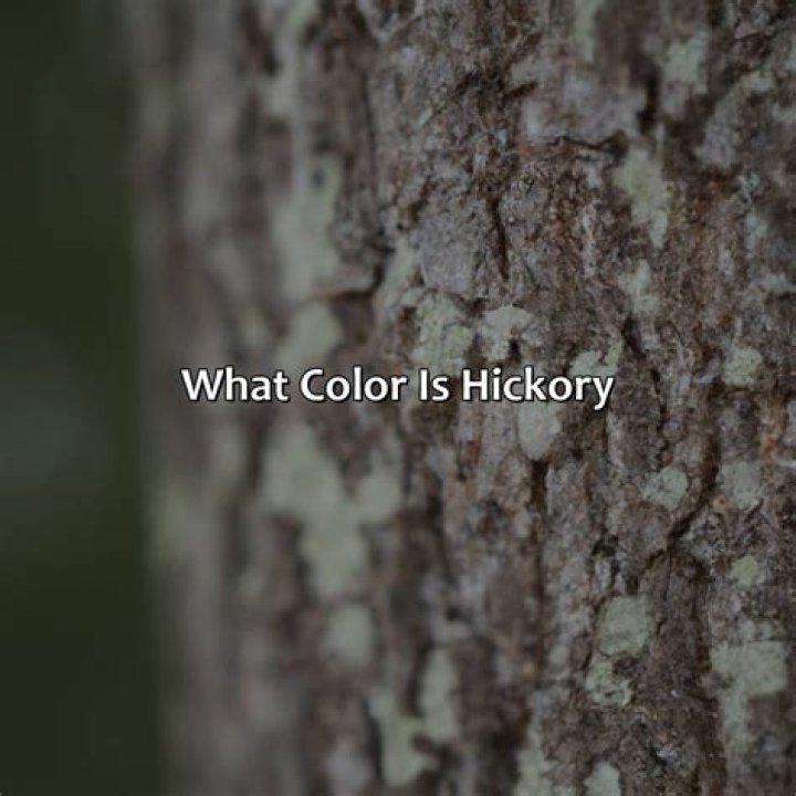 What is Hickory color? | ContextResponse.com