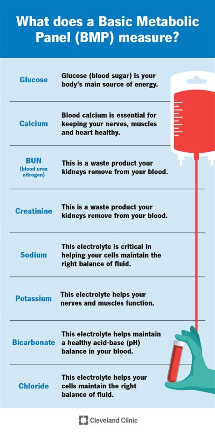 What is included in BMP lab test?