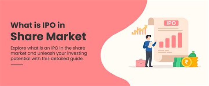 What is IPO share?