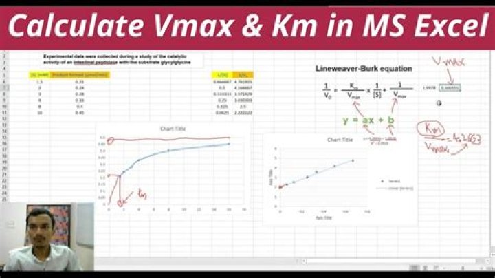 What is Km and Vmax value?
