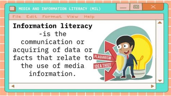 What is Media and Information Literacy Module?