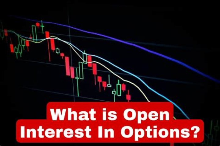 What is option open interest?