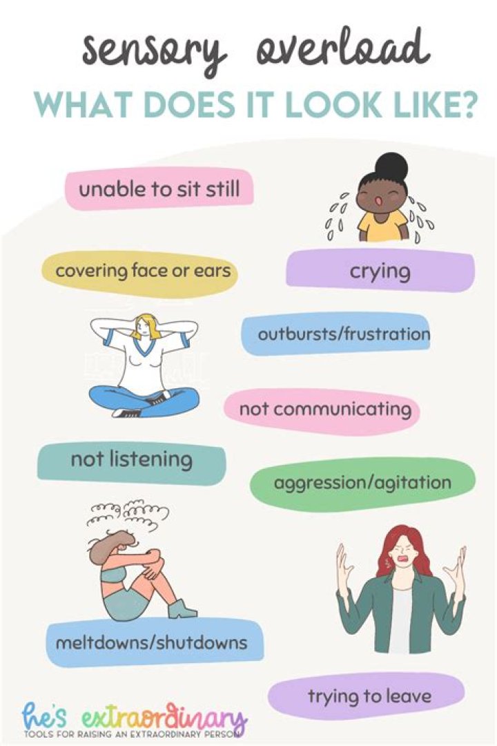 What is sensory overload autism?