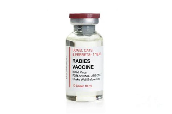What is the abbreviation for the rabies vaccine?