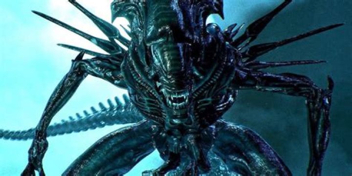 What is the alien called in Alien?