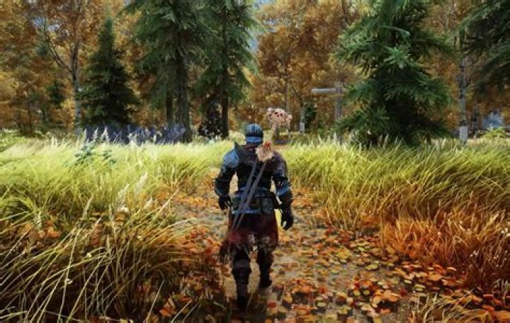 What is the best mod manager?