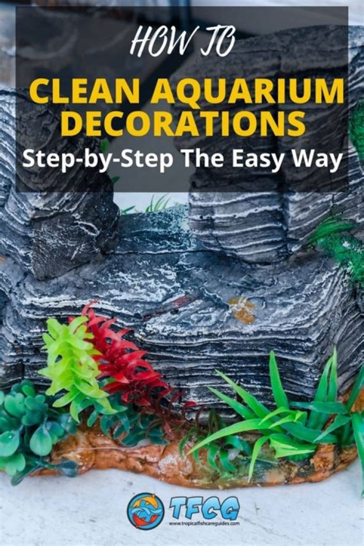 What is the best way to clean aquarium decorations?