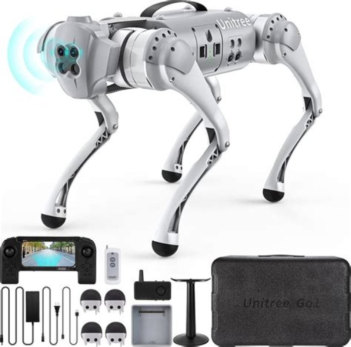 What is the cheapest robot dog?