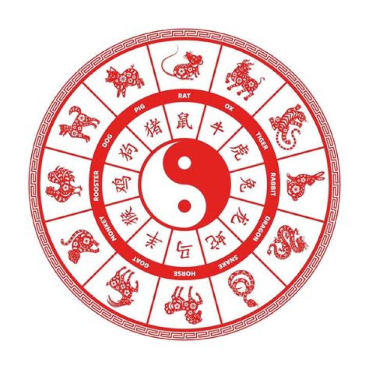 What is the Chinese sign for Aquarius?