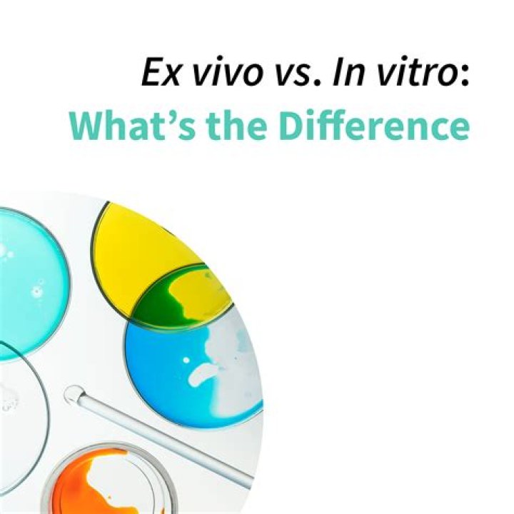 What is the difference between in vitro and ex vivo?