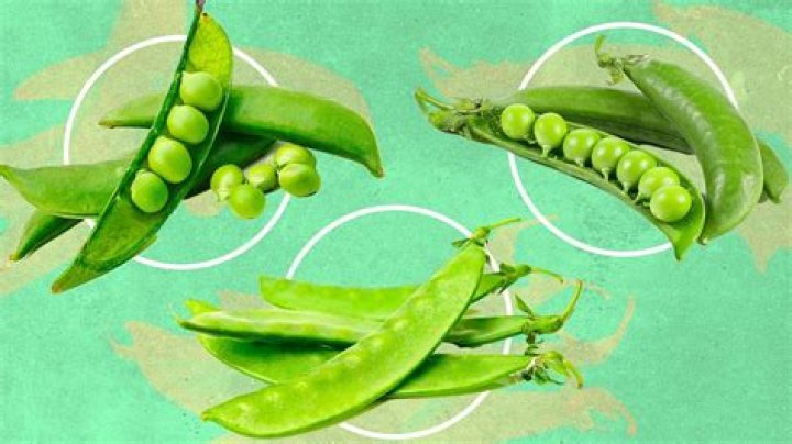 What is the difference between peas and legumes?