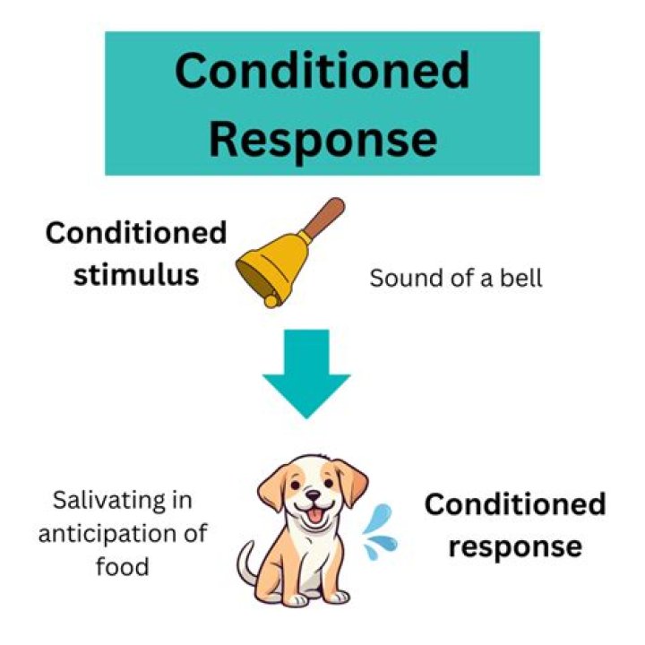 What is the difference between unconditioned response and conditioned response?