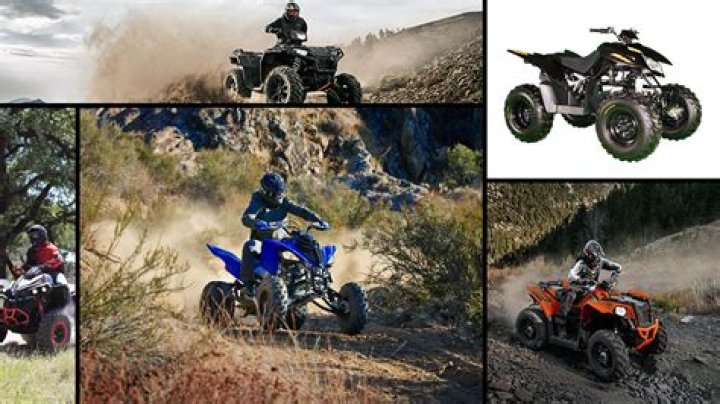 What is the fastest stock four wheeler?