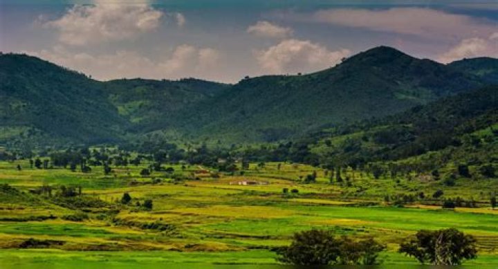 What is the height of Araku Valley?