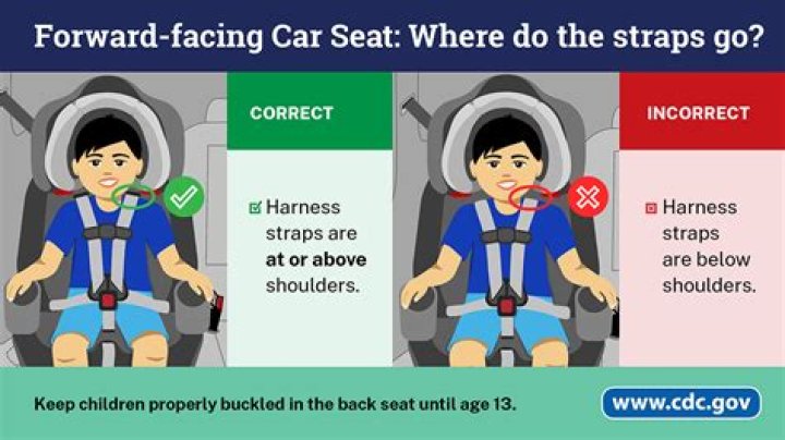 What is the law for forward facing car seat?