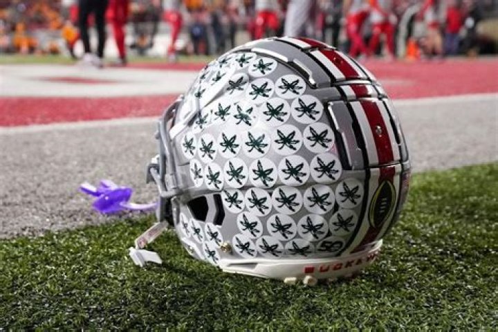 What is the leaf on the Ohio State football helmet?