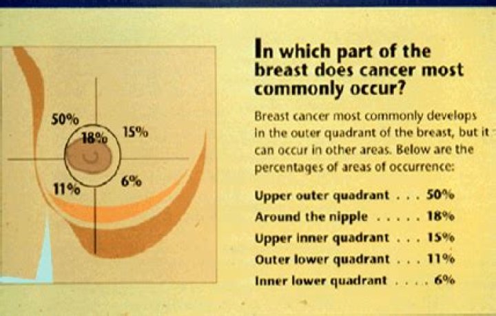 What is the outer quadrant of the breast?