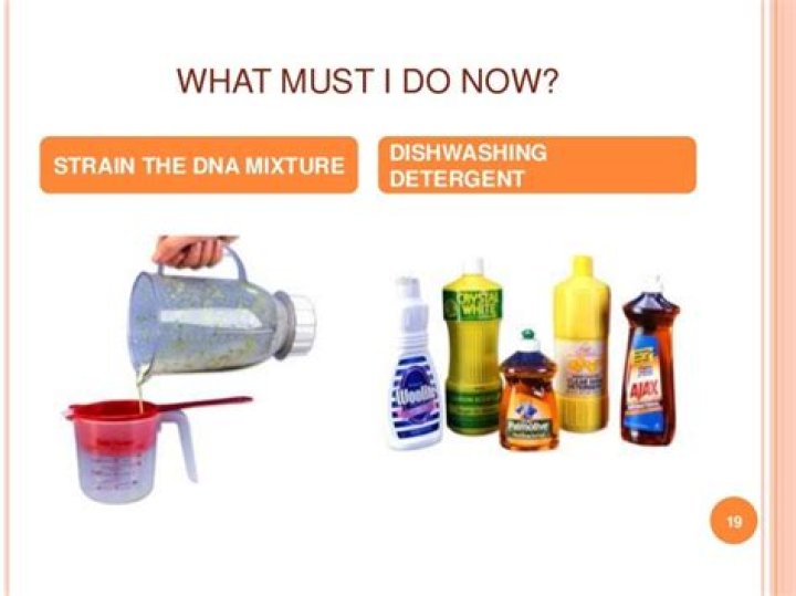 What is the purpose of detergent in DNA extraction?