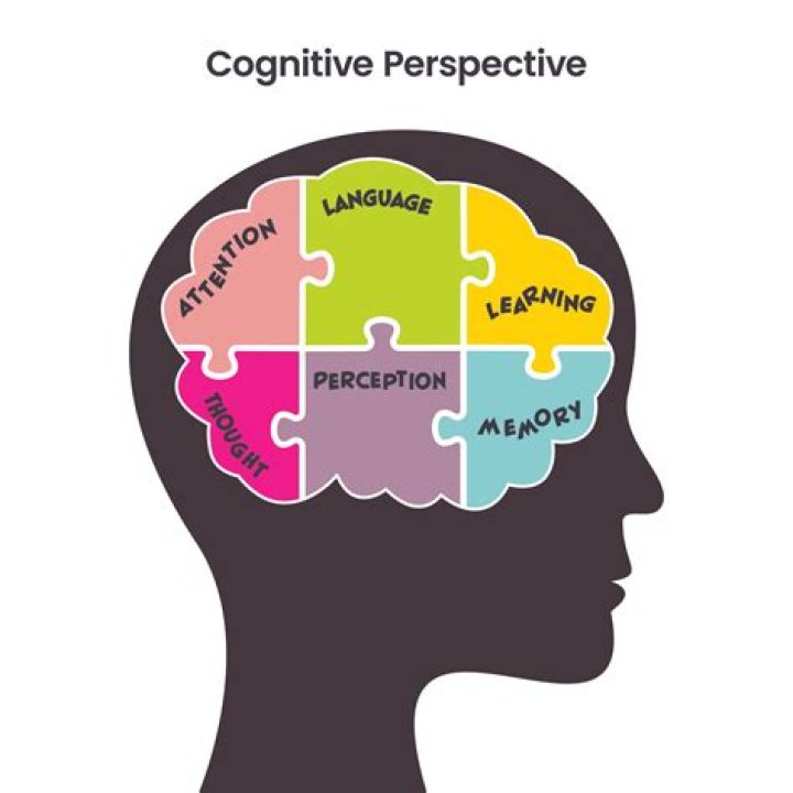 What is the role of a cognitive psychologist?