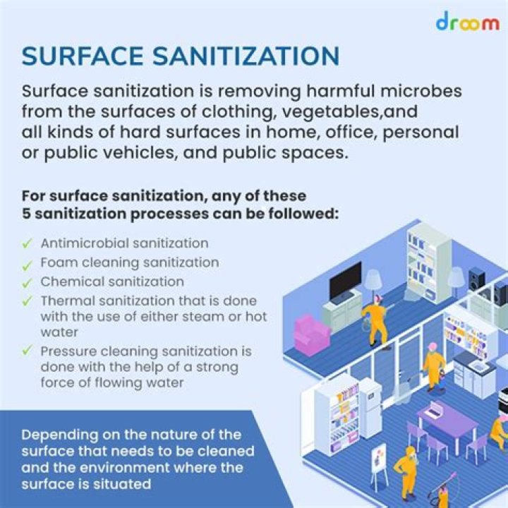 What is the sanitization process?