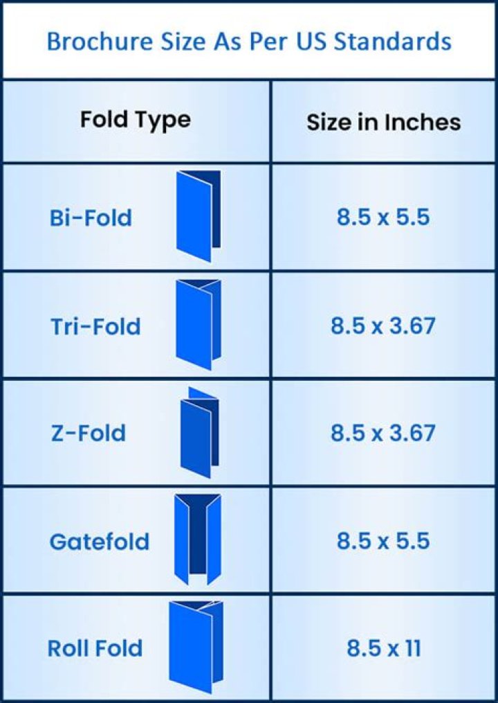 What is the standard size for a brochure?