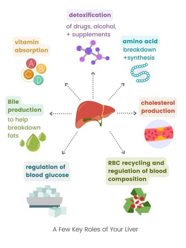 What is the substance produced by the liver that is necessary to break down fat drops into smaller fat droplets?