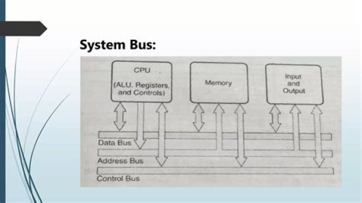 What is the use of system bus?