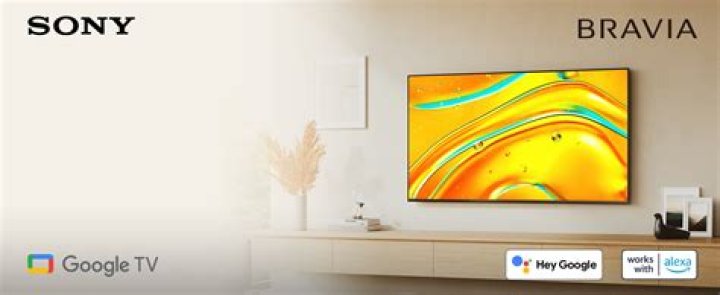 What is Twin picture in Sony Bravia?