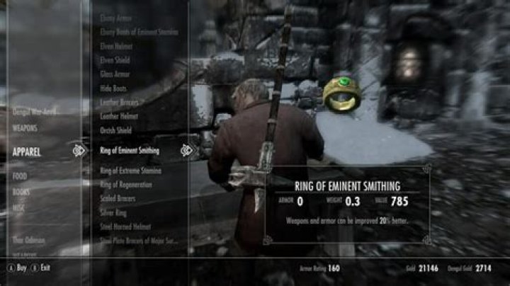 What items can you put fortify smithing on?