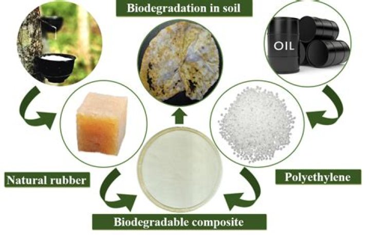 What kind of glue is biodegradable?