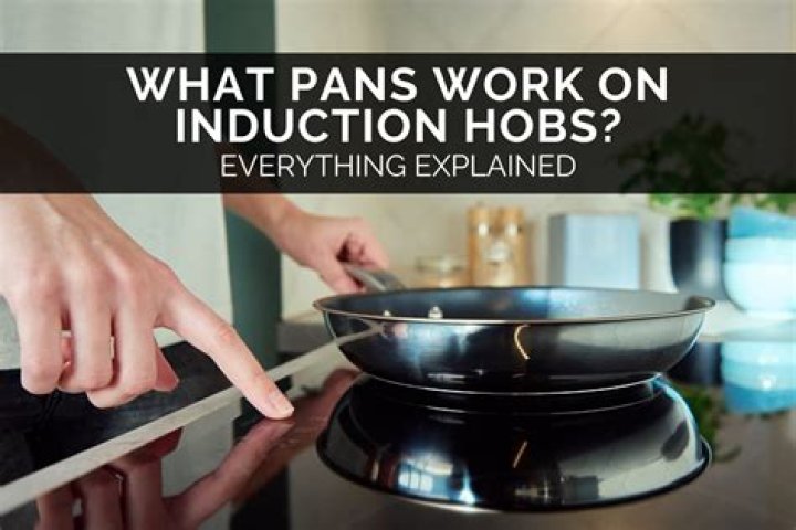 What kind of pans work with induction?