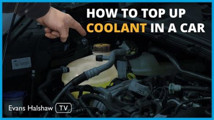 What level should coolant be at?