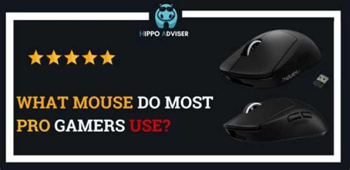 What mouse do gamers use?