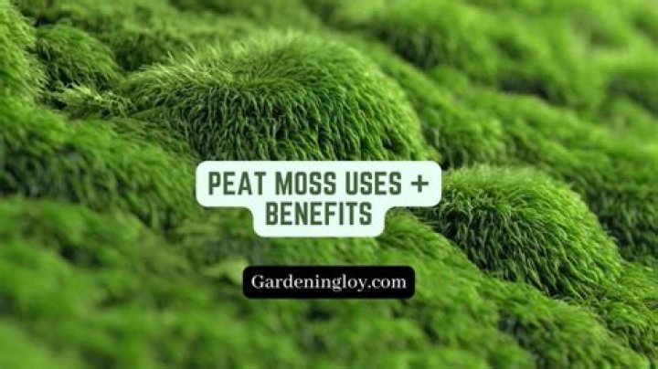 What plants is peat moss good for?