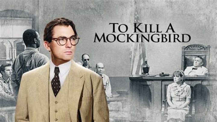 What point of view is used in To Kill a Mockingbird?