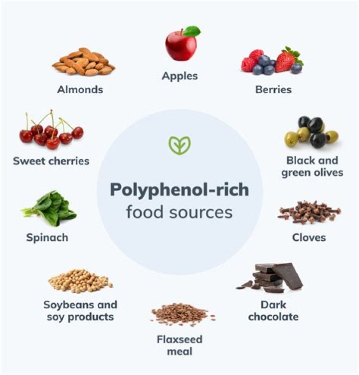 What polyphenols does to your body?