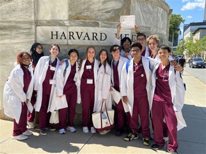 What rank is Harvard Medical School?