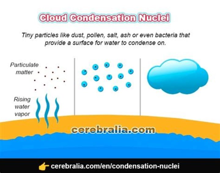 What role do condensation nuclei play in condensation?