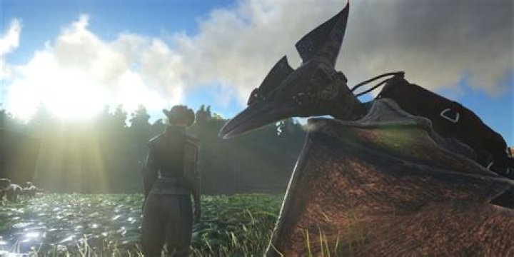 What saddle do you need for a Pteranodon?