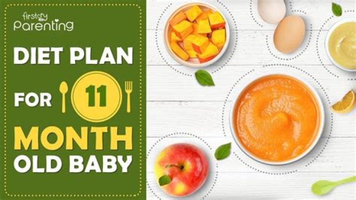 What should an 11 month old be eating?