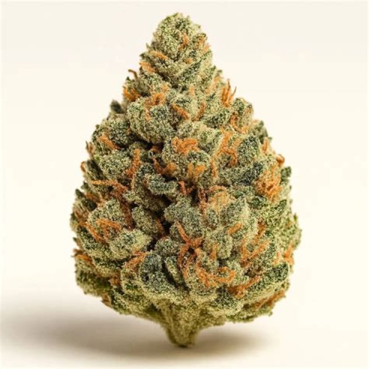 What strain is Diamond Kush?