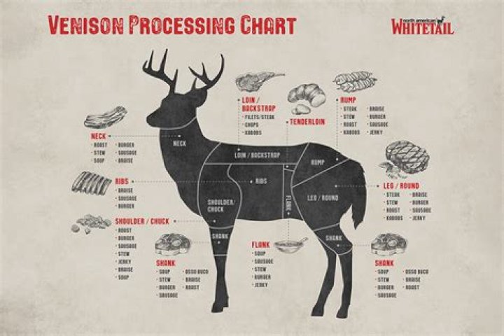 What temperature is safe to let a deer hang?