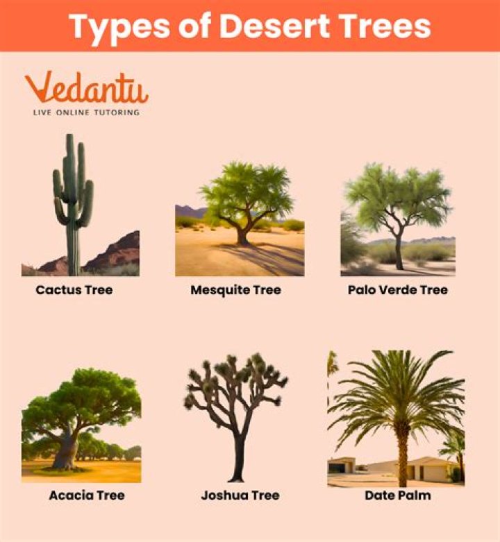 What trees are in Asia?