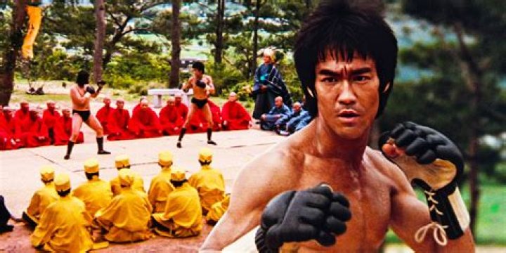 What was Bruce Lee's discipline?